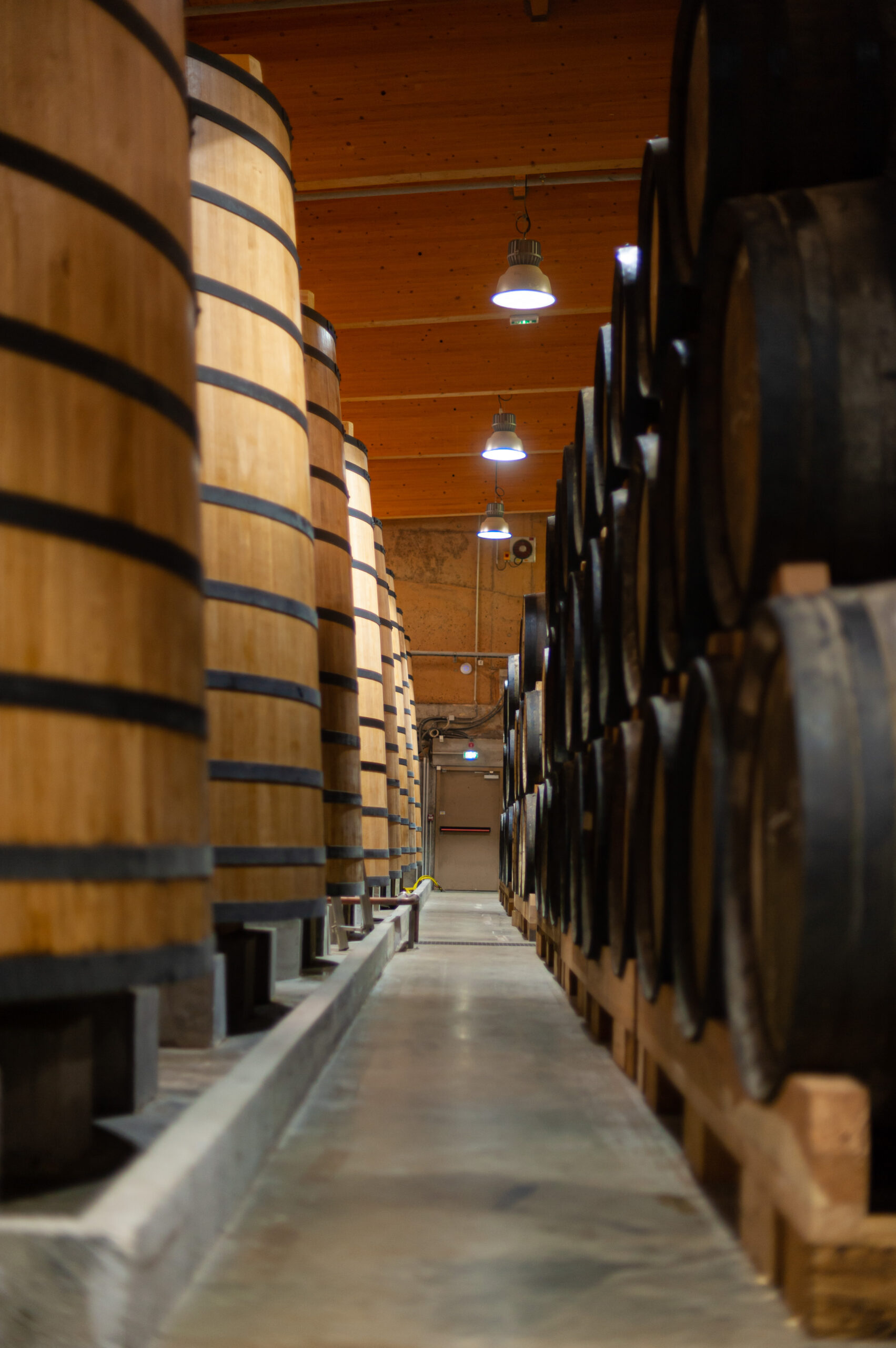 Ageing cellar of Aiguenoire_© Pascal Flamant