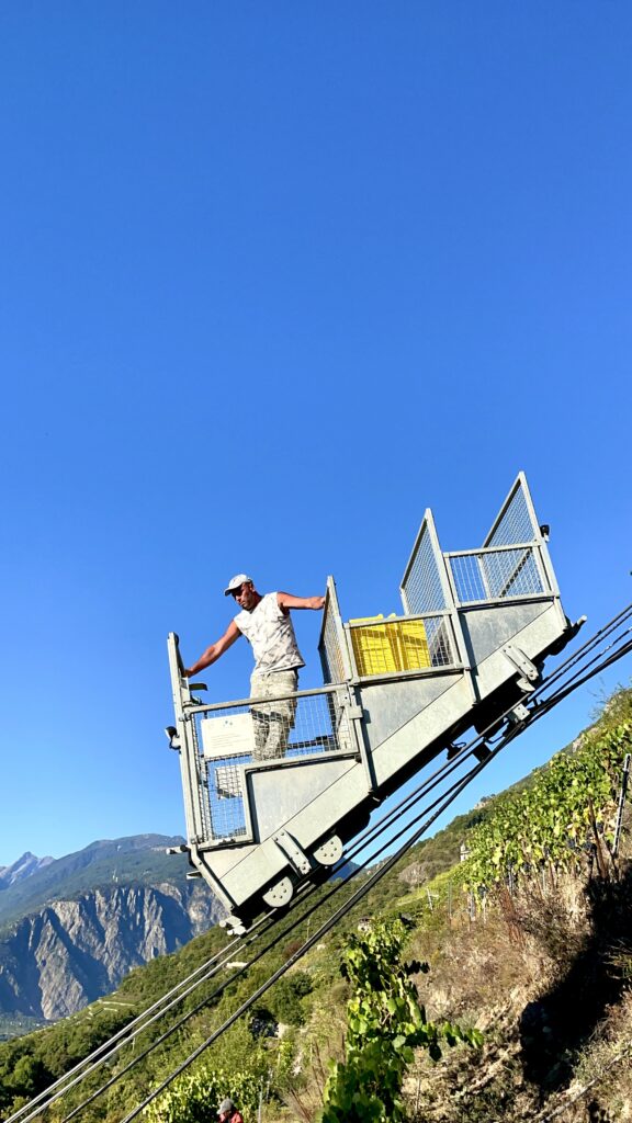 Marie-Therese Chappaz