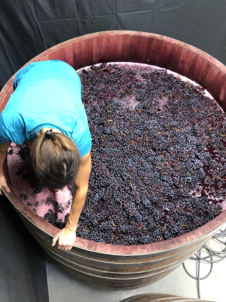 Weingut Besson Strasser